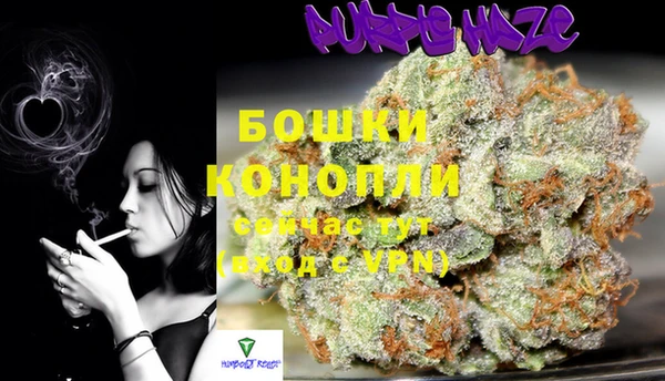 индика Нея