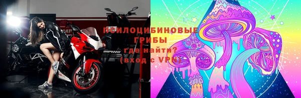 индика Нея