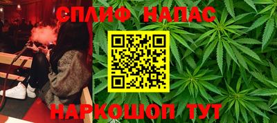 амф Гусь-Хрустальный