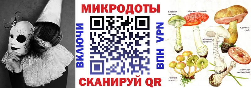 Галлюциногенные грибы Cubensis  Когалым 