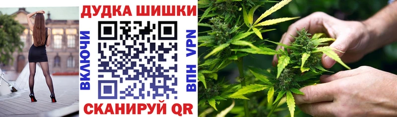как найти   Когалым  OMG   Шишки марихуана Bruce Banner 